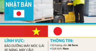 Bảo dưỡng máy móc.